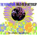 Build Me Up Buttercup