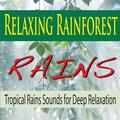 Tropical Rain Sounds Along the Amazon