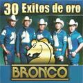 Amigo Bronco