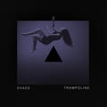 Trampoline [Stripped]