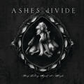 The Stone [Album Version]