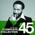 Ain't No Mountain High Enough [Album Version]