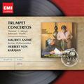 Telemann: Trumpet Concerto in D Major, TWV 51/D7: II. Allegro