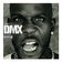 Party Up by DMX