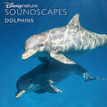 Tropical Beach, Close to the Seashore, Close Lapping Waves and Surf with Birds [From "Disneynature Soundscapes: Dolphins"]