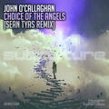 Choice of the Angels [Sean Tyas Remix]