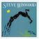 While You See A Chance by Steve Winwood