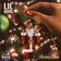 Christmas Trees by Lil Duval
