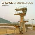 Bruised Water [Chicane Rework Mix]