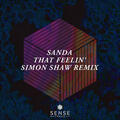 That Feelin' [Simon Shaw Remix (Edit)]
