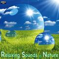Nature Sounds - Thunder and Lightning With Gentle Relaxing Rain