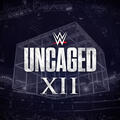 Cold Hearted (Stone Cold Steve Austin)