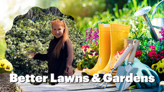 Better Lawns & Gardens with Teresa Watkins