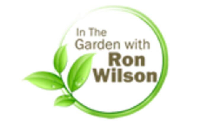 Ron Wilson Gardening Tips From Ron Wilson