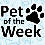 Pepsi Zero Pet of the Week