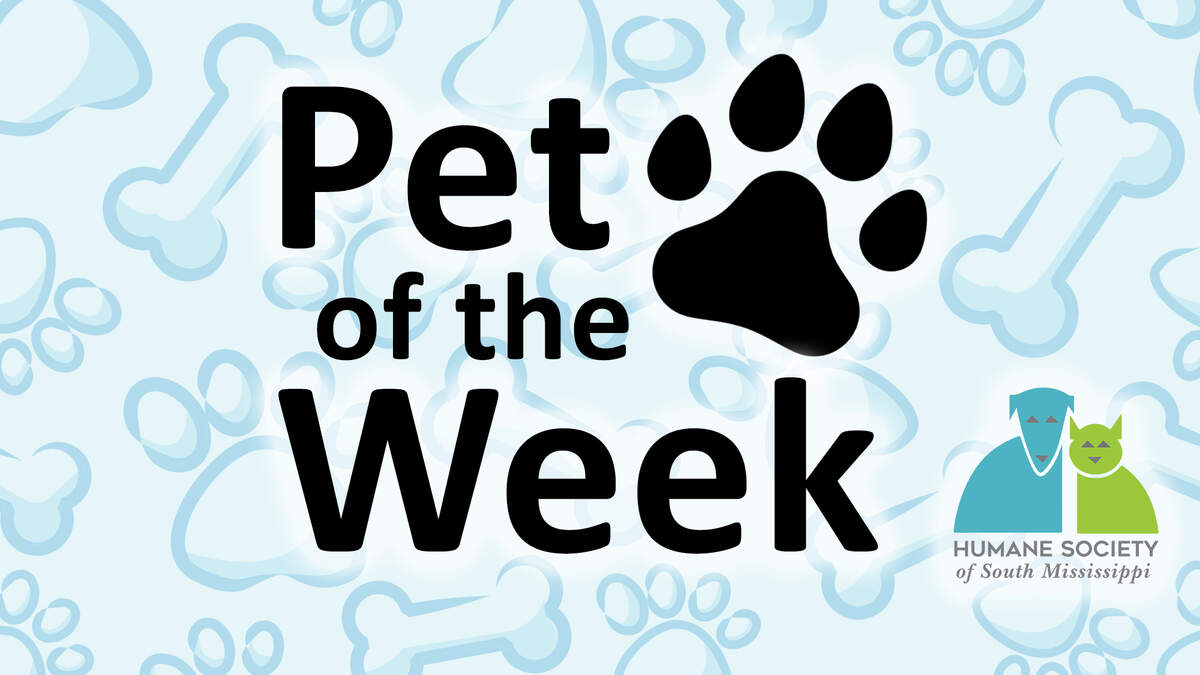 Pet of the Week