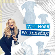 Wet Nose Wednesday