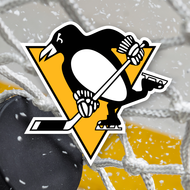 Pittsburgh Penguins on X: GOAL! PETRY! 👏 The Penguins capture the 3-0  lead with 4:55 left in the middle frame. You really do love to see it.   / X