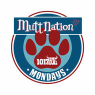MuttNation Mondays