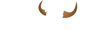 94.9 The Bull - Georgia's #1 for New Country