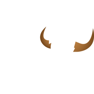 Logo for 94.9 The Bull - Georgia's #1 for New Country
