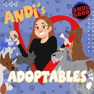Andi’s Adoptables on Tom-FM