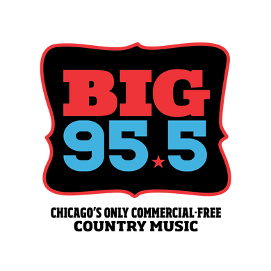 BIG 95.5 FM logo