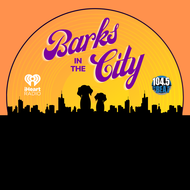 Barks in the city