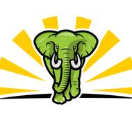 Total Wealth Academy