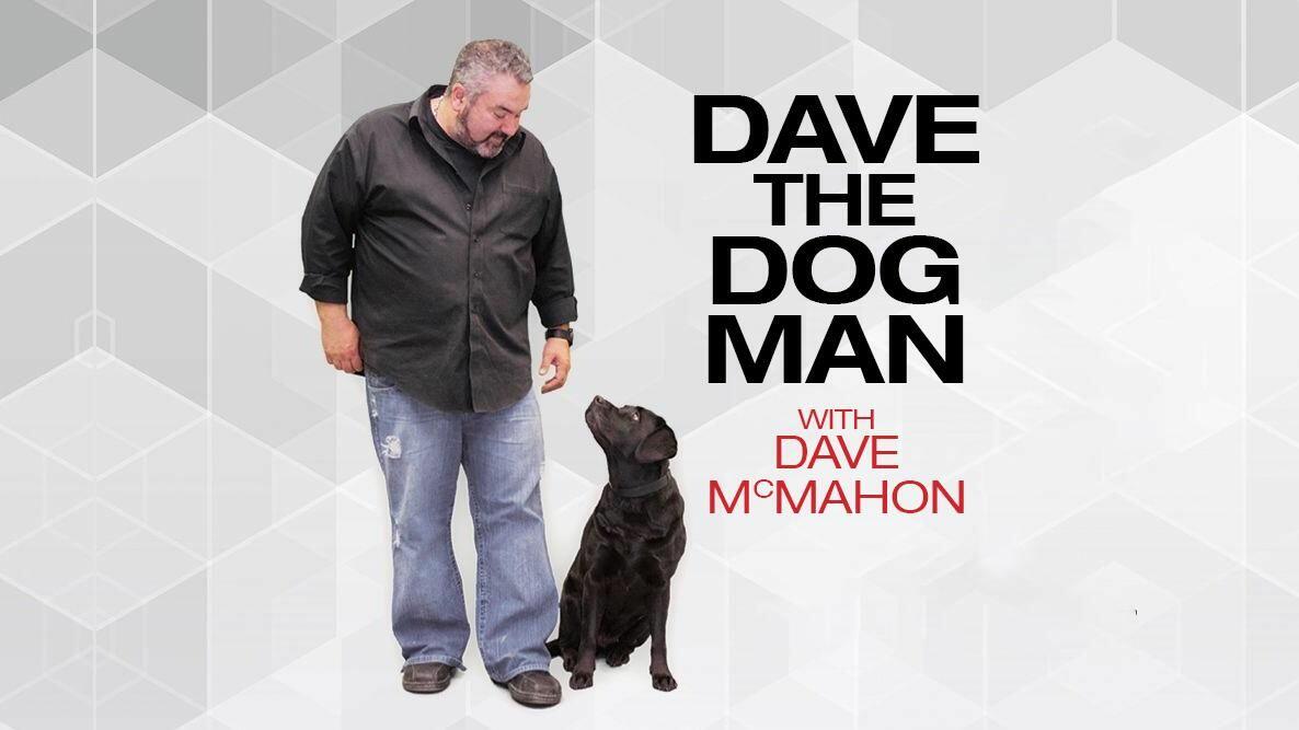 Dave the Dog Man
