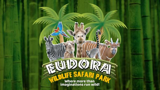 Eudora Wildlife Safari Trivia