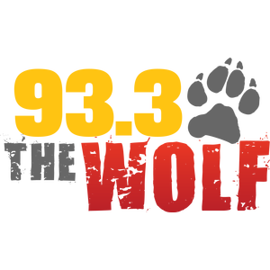 Logo for 93.3 The Wolf - Youngstown's Rock Station