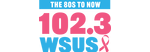 102.3 WSUS - The 80s to Now for Sussex County