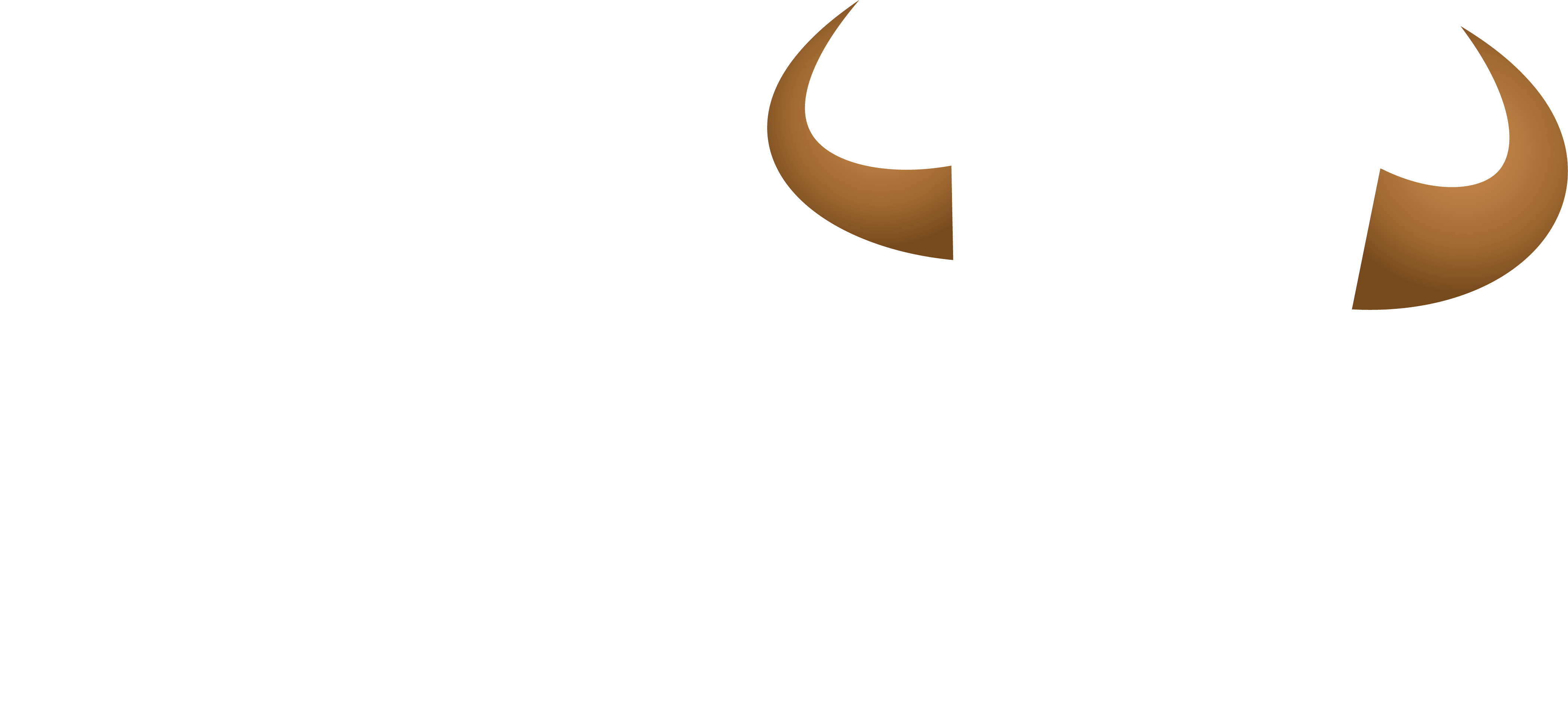 94.9 The Bull - Georgia's #1 for New Country