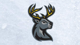 Sports - Iowa Heartlanders vs Ft. Wayne