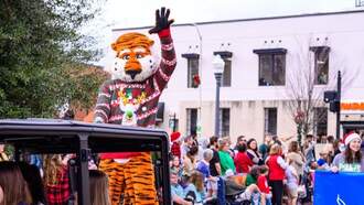 Community - Downtown Auburn Christmas Parade