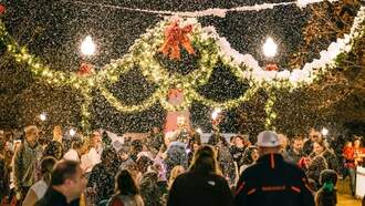 Community - Snopelika Parade & Tree Lighting