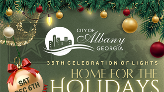 Community - Celebration of Lights