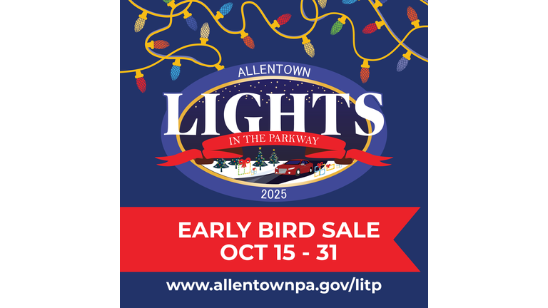 Lights in the parkway