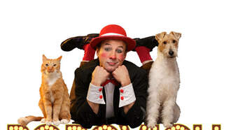 Entertainment - Popovich: Comedy Pet Theater At State Theatre in Easton 2/22/26