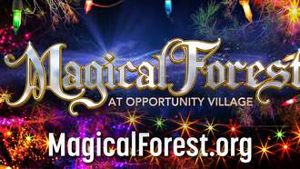 Magical Forest at Opportunity Village!