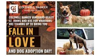 Fall In Love & Dog Adoption Day - K9s For Warriors