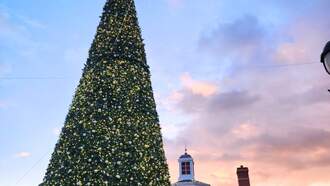 Station Events - Holiday Tree Lighting at Promenade Saucon Valley 11/15