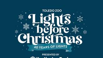 Holiday - Toledo Zoo Lights before Christmas!