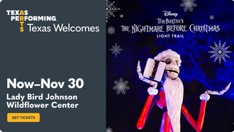 Community -  Disney Tim Burton's The Nightmare Before Christmas Light Trail 