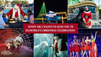 Holiday - SeaWorld's Christmas Celebration!