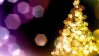 Station Events - Holiday Tree Lighting at Pocono Premium Outlets 11/21