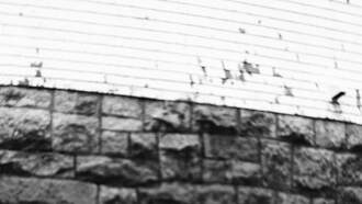 Concerts - Stephen Wilson Jr. at KEMBA Live!