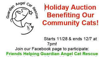 Holiday Auction Benefiting Our Community Cats!