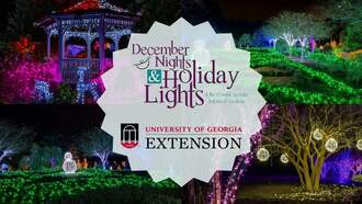 Entertainment - Coastal Georgia Botanical Gardens December Nights & Holiday Lights